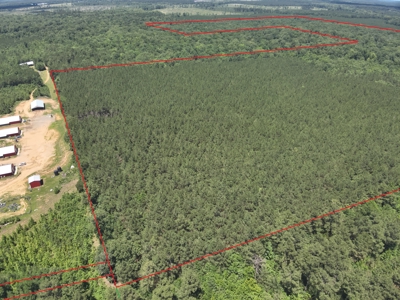 Large Hunting Land for Sale near Rison, AR W/ Hardwood Creek - image 21