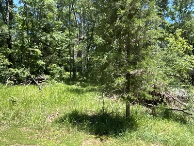 Large Hunting Land for Sale near Rison, AR W/ Hardwood Creek - image 15