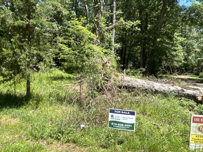 Large Hunting Land for Sale near Rison, AR W/ Hardwood Creek - image 16