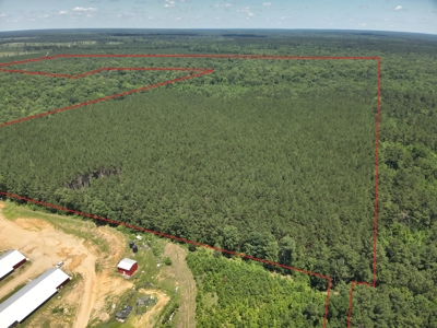 Large Hunting Land for Sale near Rison, AR W/ Hardwood Creek - image 17