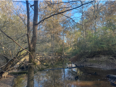 Large Hunting Land for Sale near Rison, AR W/ Hardwood Creek - image 1