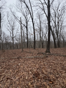 Hunting Property For Sale in West Fork, Arkansas on Mill Creek - image 14