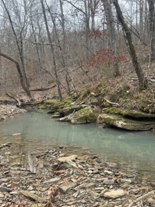 Hunting Property For Sale in West Fork, Arkansas on Mill Creek - image 11