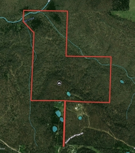 Hunting Property For Sale in West Fork, Arkansas on Mill Creek - image 10