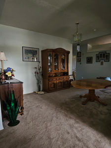 Quaint spacious town home in Great Falls Montana - image 20