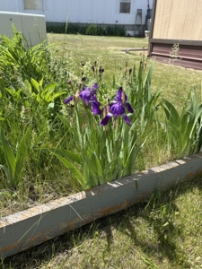 Quaint spacious town home in Great Falls Montana - image 19