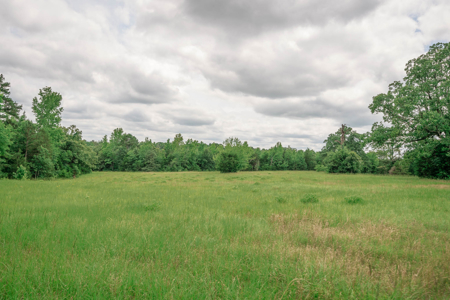 Country Home For Sale in Winona, Texas - image 41
