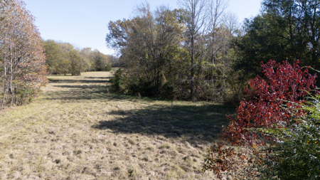 Country Home For Sale in Winona, Texas - image 44