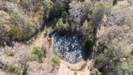 Country Home For Sale in Winona, Texas - image 43