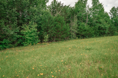 Country Home For Sale in Winona, Texas - image 42