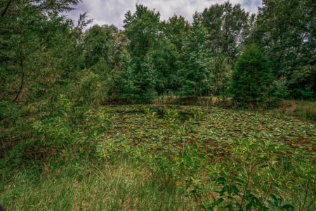 Country Home For Sale in Winona, Texas - image 37