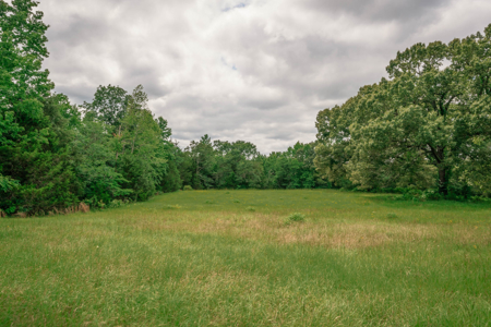 Country Home For Sale in Winona, Texas - image 43