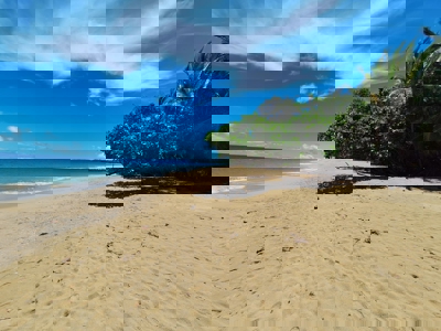 Turnkey Titled Home Near Bluff Beach – Bocas del Toro Real Estate - image 9