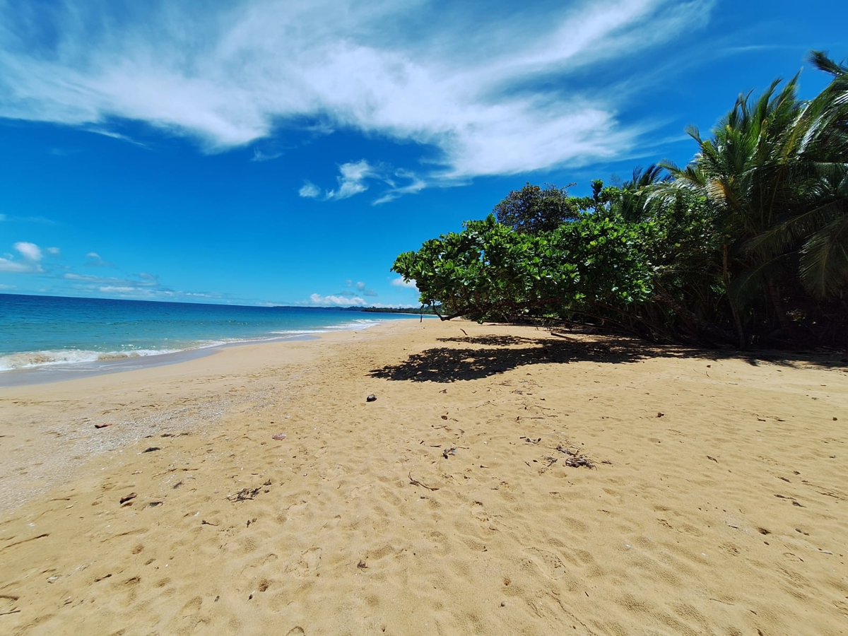 Turnkey Titled Cabin, New 2024 Build — Near Bluff Beach, Isla Colón - 28