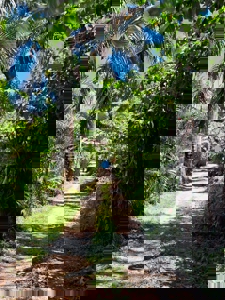 Turnkey Titled Home Near Bluff Beach – Bocas del Toro Real Estate - image 11