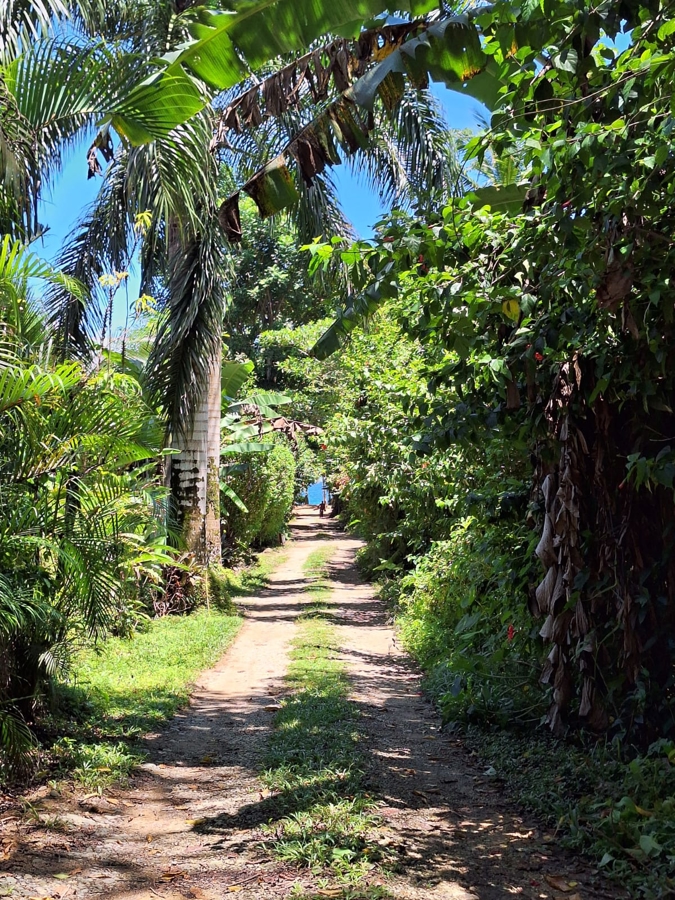 Turnkey Titled Cabin, New 2024 Build — Near Bluff Beach, Isla Colón - 35