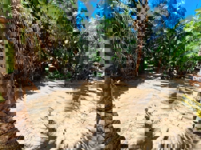 Turnkey Titled Home Near Bluff Beach – Bocas del Toro Real Estate - image 28