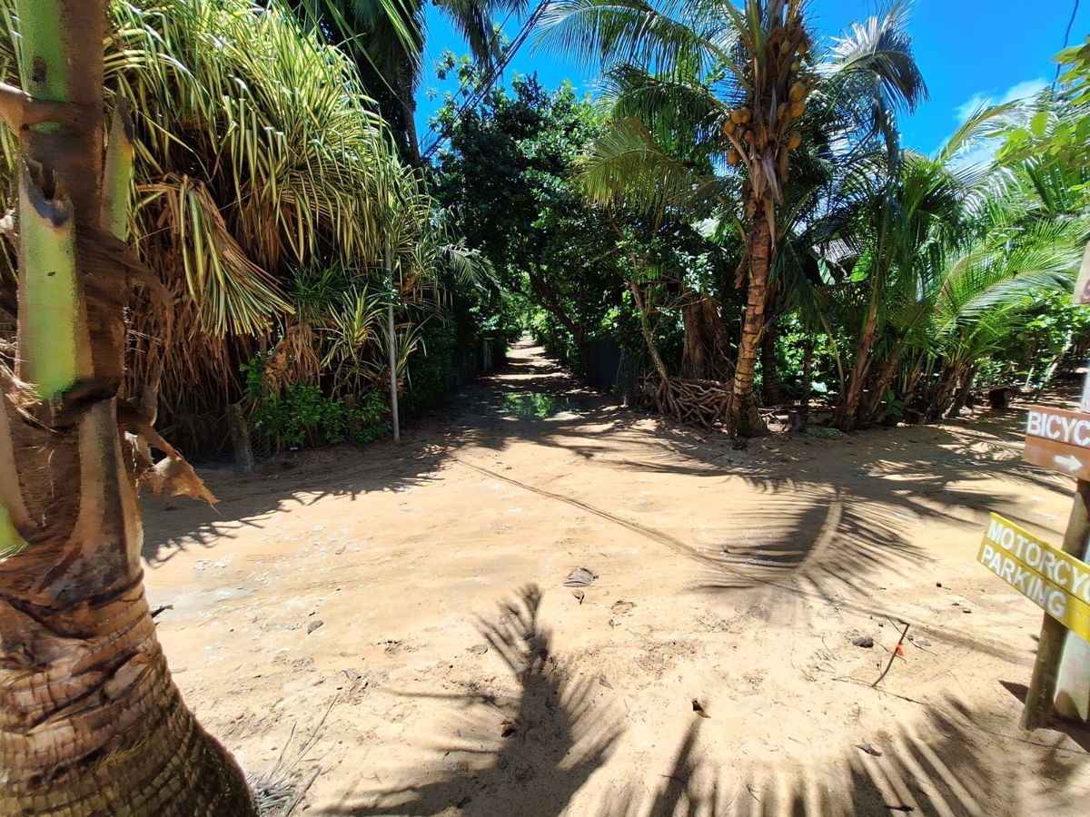 Turnkey Titled Cabin, New 2024 Build — Near Bluff Beach, Isla Colón - 33