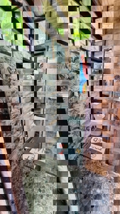 Turnkey Titled Home Near Bluff Beach – Bocas del Toro Real Estate - image 27