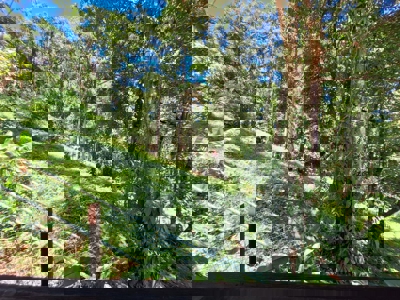 Turnkey Titled Home Near Bluff Beach – Bocas del Toro Real Estate - image 22