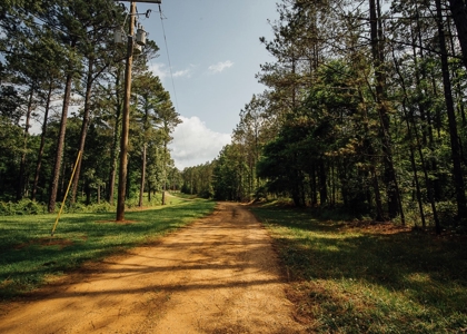 Mississippi Mini Farm For Sale - image 40