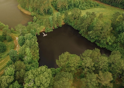 Mississippi Mini Farm For Sale - image 6