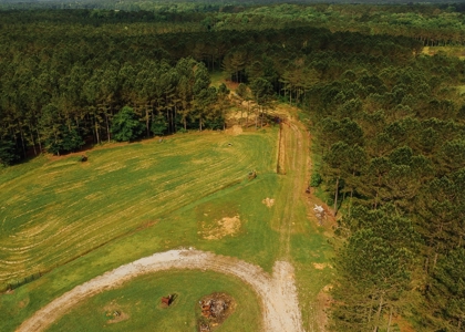 Mississippi Mini Farm For Sale - image 38