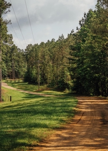 Mississippi Mini Farm For Sale - image 39