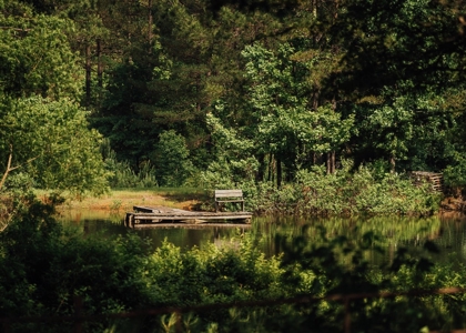Mississippi Mini Farm For Sale - image 7