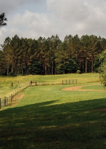 Mississippi Mini Farm For Sale - image 9