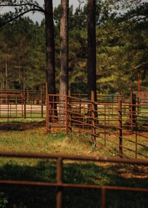 Mississippi Mini Farm For Sale - image 10