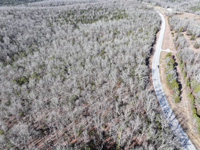 73 Acres Wooded and Pasture in Ozark County Missouri - image 9