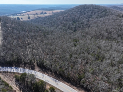 73 Acres Wooded and Pasture in Ozark County Missouri - image 13