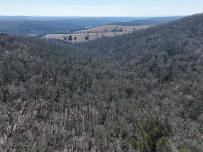 73 Acres Wooded and Pasture in Ozark County Missouri - image 8