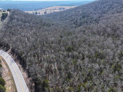 73 Acres Wooded and Pasture in Ozark County Missouri - image 7