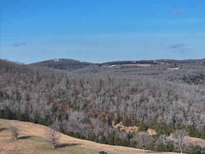 73 Acres Wooded and Pasture in Ozark County Missouri - image 14