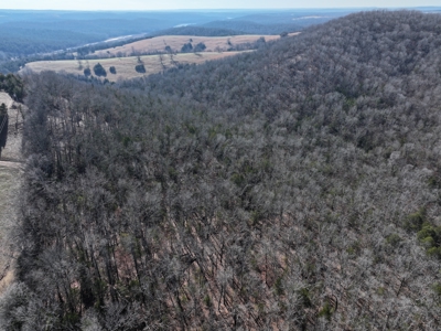 73 Acres Wooded and Pasture in Ozark County Missouri - image 10