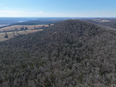 73 Acres Wooded and Pasture in Ozark County Missouri - image 3