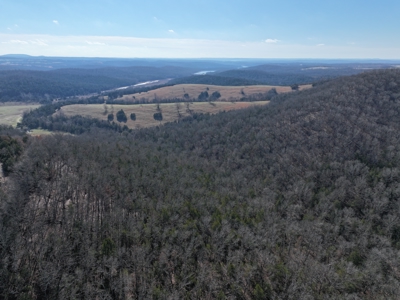 73 Acres Wooded and Pasture in Ozark County Missouri - image 1
