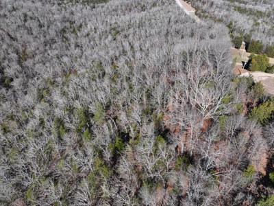 73 Acres Wooded and Pasture in Ozark County Missouri - image 4