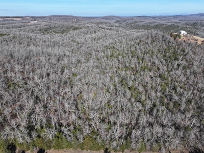 73 Acres Wooded and Pasture in Ozark County Missouri - image 2