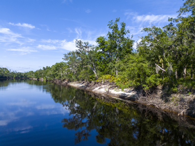 Riverfront Land for Sale in Live Oak, Florida - image 16