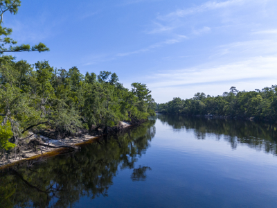 Riverfront Land for Sale in Live Oak, Florida - image 14