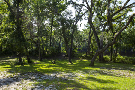 Riverfront Land for Sale in Live Oak, Florida - image 19