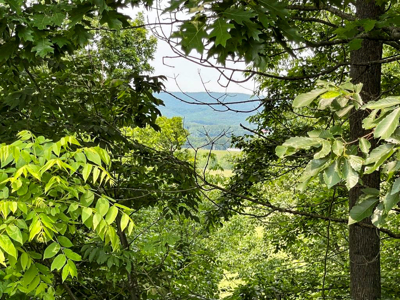 Home For Sale In Wytheville Overlooking Golf Club - image 43