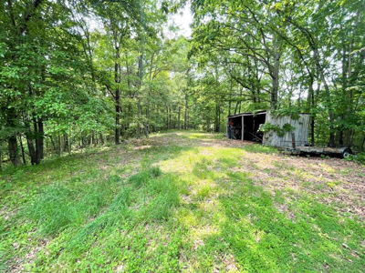 Home For Sale In Wytheville Overlooking Golf Club - image 46