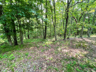 Home For Sale In Wytheville Overlooking Golf Club - image 37