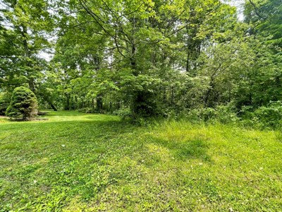 Home For Sale In Wytheville Overlooking Golf Club - image 40