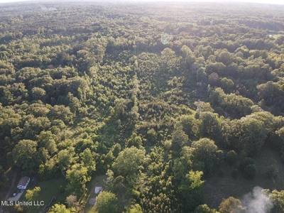 Great Homesite in Utica, MS Hinds County - image 20