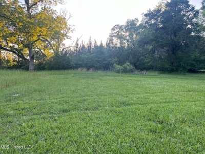Great Homesite in Utica, MS Hinds County - image 2